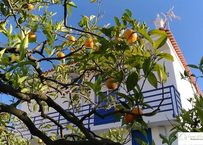 Casa D\'Avo