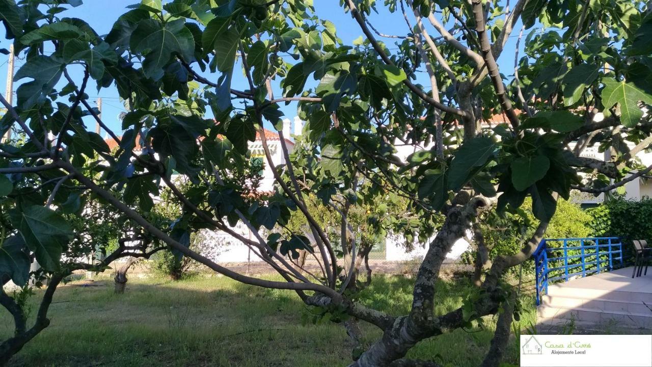 Casa D'avo Appartamento *